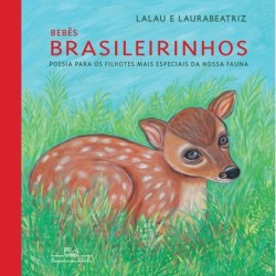 Bebês brasileirinhos (capa dura) - Lalau e Laurabeatriz