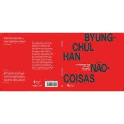 Não coisas: Reviravoltas do mundo da vida - : Livro