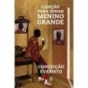 Canção para ninar menino grande - : Livro