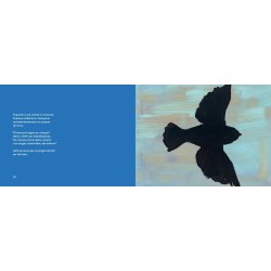 Chupim - : Livro