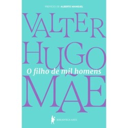 O filho de mil homens - : Livro