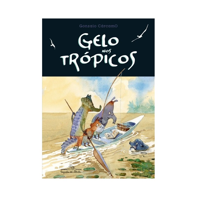 Gelo nos trópicos - Cárcamo