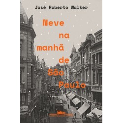 Neve na manhã de São Paulo - José Roberto Walker