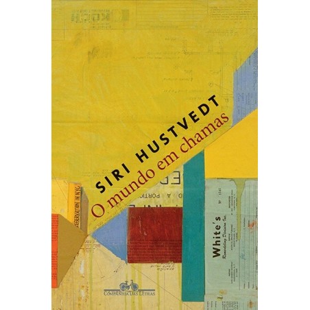 O mundo em chamas - Siri Hustvedt