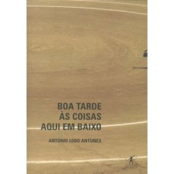 Boa tarde às coisas aqui em baixo - António Lobo Antunes