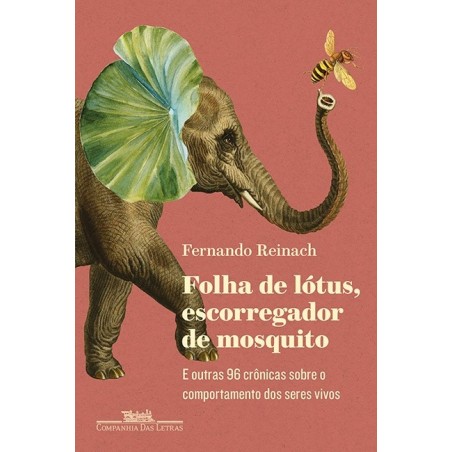 Folha de lótus, escorregador de mosquito - Fernando Reinach